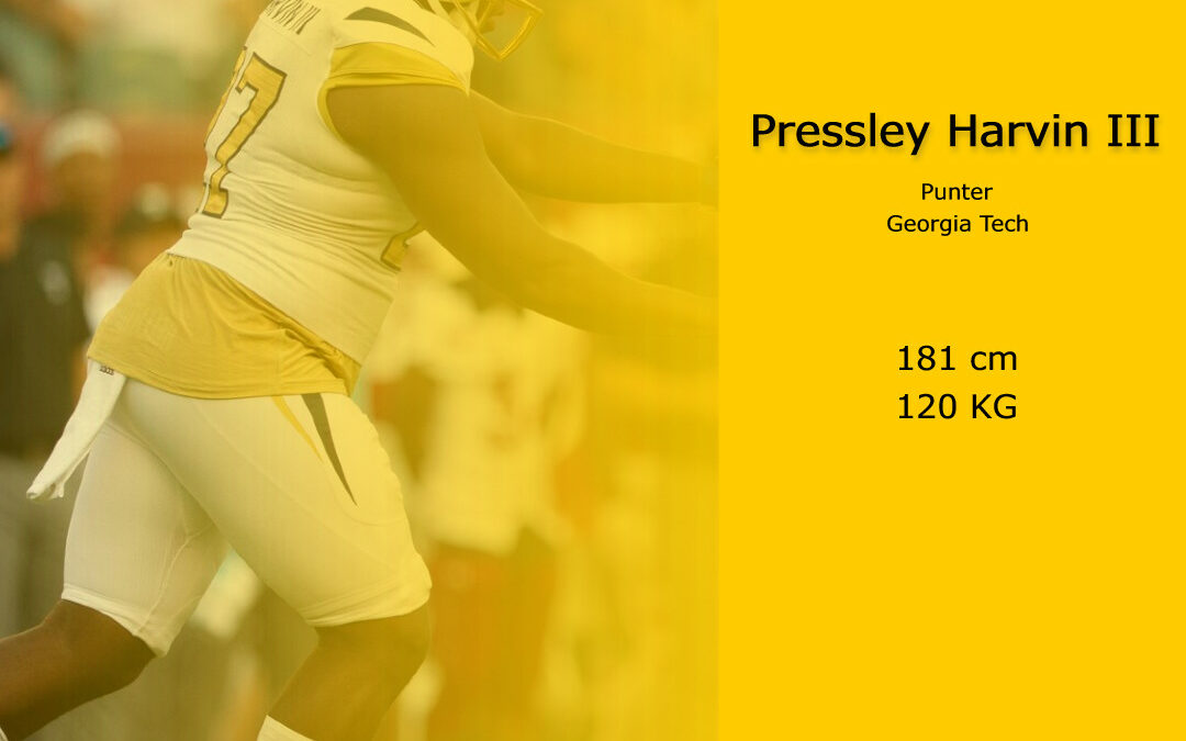 Mit ihrem letzen Pick im Draft holen die Steelers einen Punter