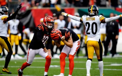 Review Week 1: Pittsburgh Steelers  @ Cincinnati Bengals