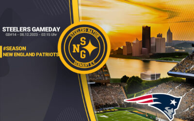 Week 14 – Preview vs Patriots
