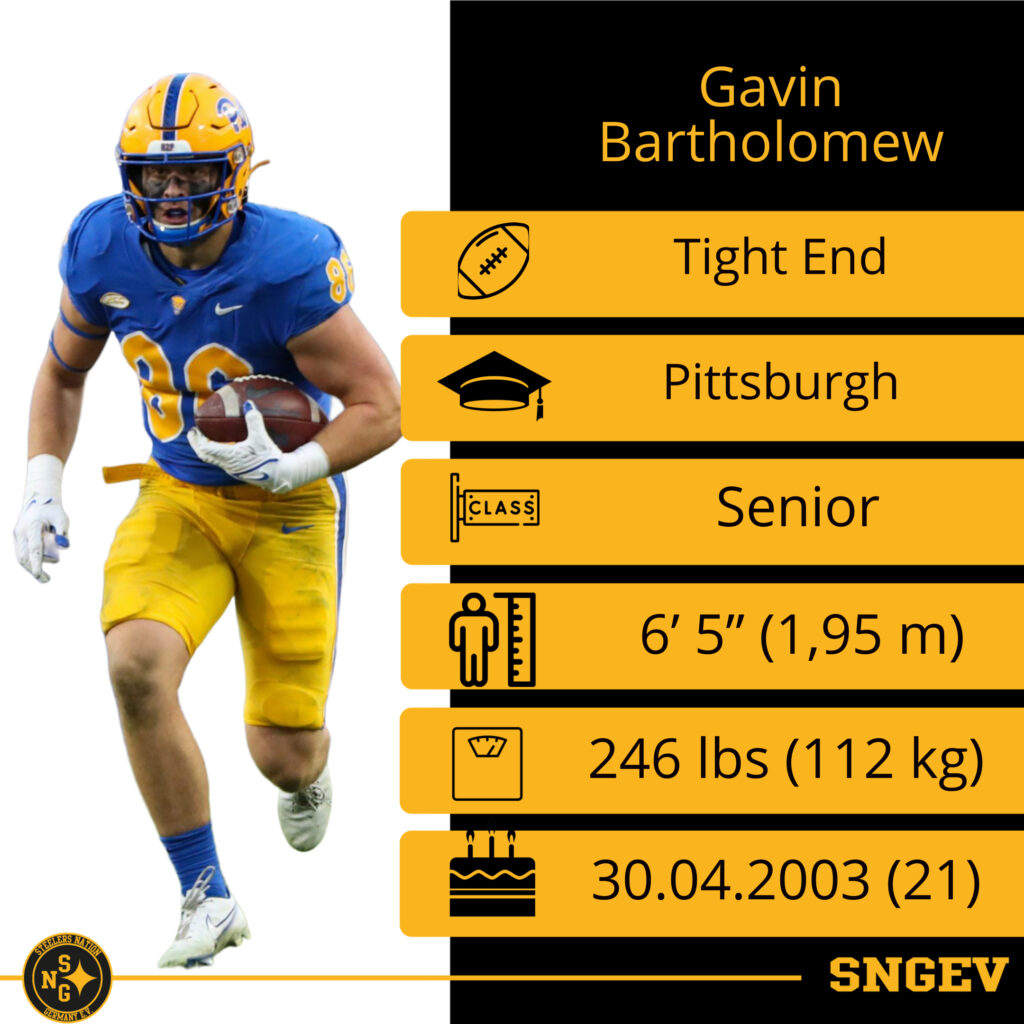 Draft 2025 TE 3